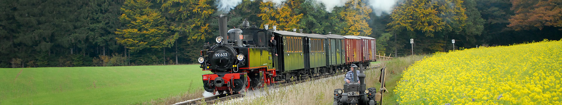 Öchsle-Dampfzug zwischen Wiese und Rapsfeld